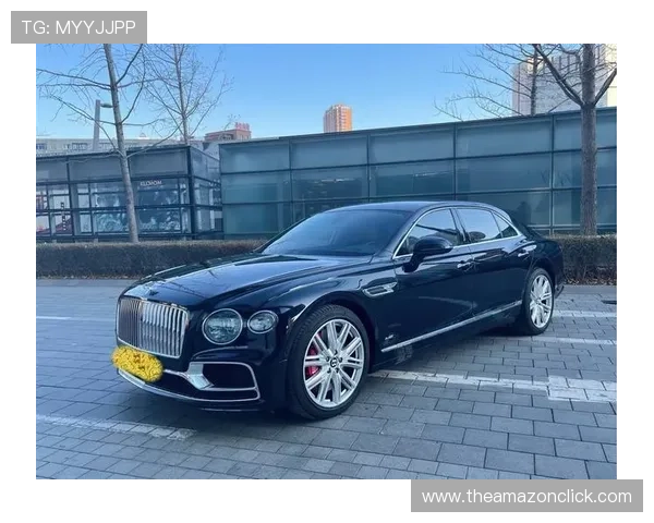 飞驰官方旗舰店：尊享豪华座驾体验，开启您的尊贵人生之旅